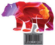 Antelope Canyon Bear
