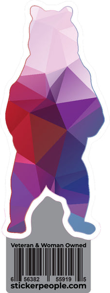 Standing Bear Geometric Rainbow