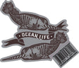 Narwhal Ocean Life