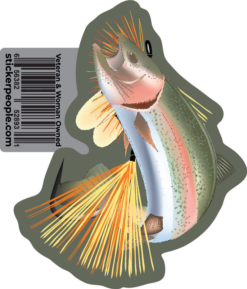 Rainbow Trout Over Fly