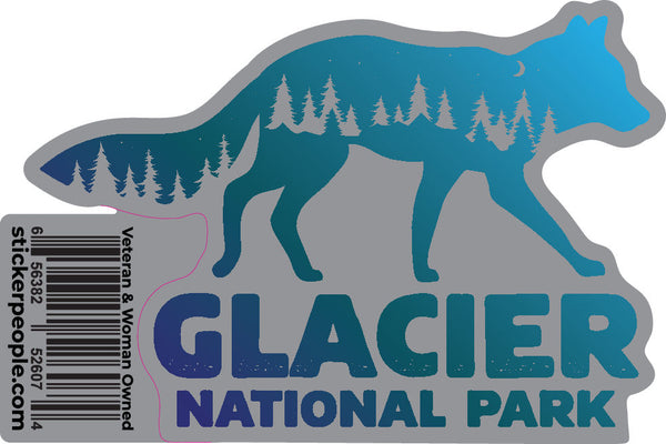 Glacier National Park Blue Foxs
