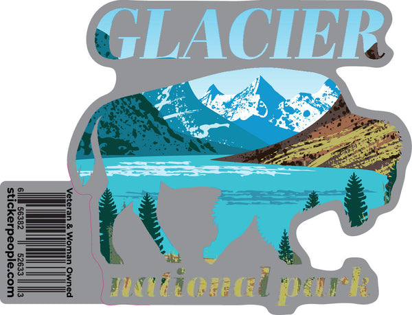 Glacier National Park Bison 2